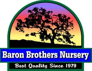 Baron Brothers_300w