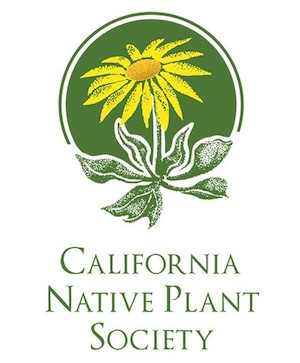 cal native plan_300