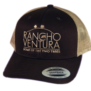 Brown Adjustable Trucker Hat