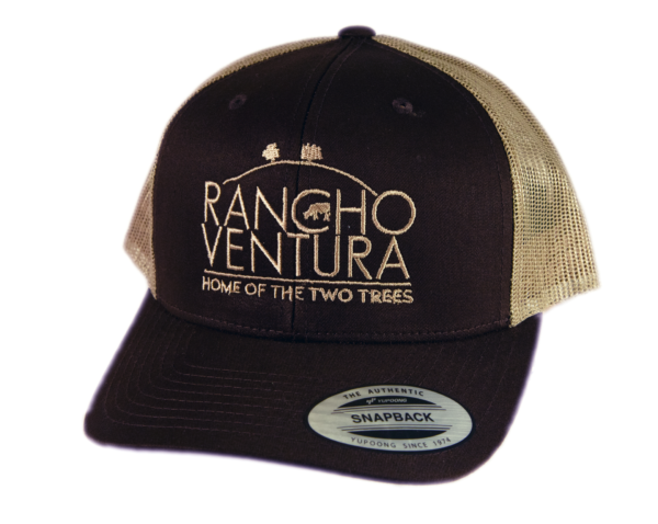 Brown Adjustable Trucker Hat