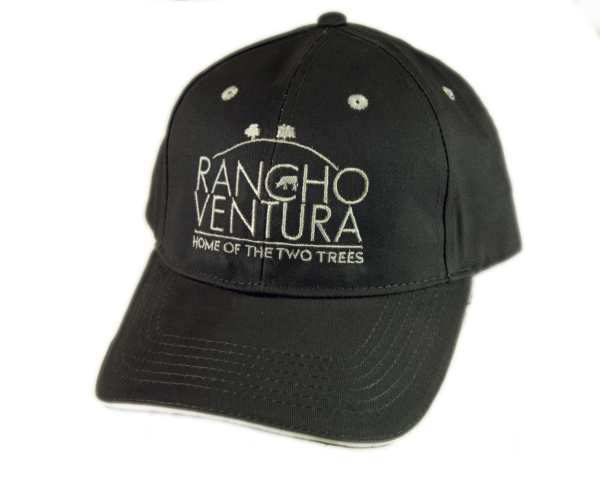 Black Adjustable Hat