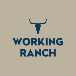 ventura california working ranch